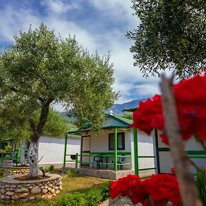 Ambel , Dhermi Albania